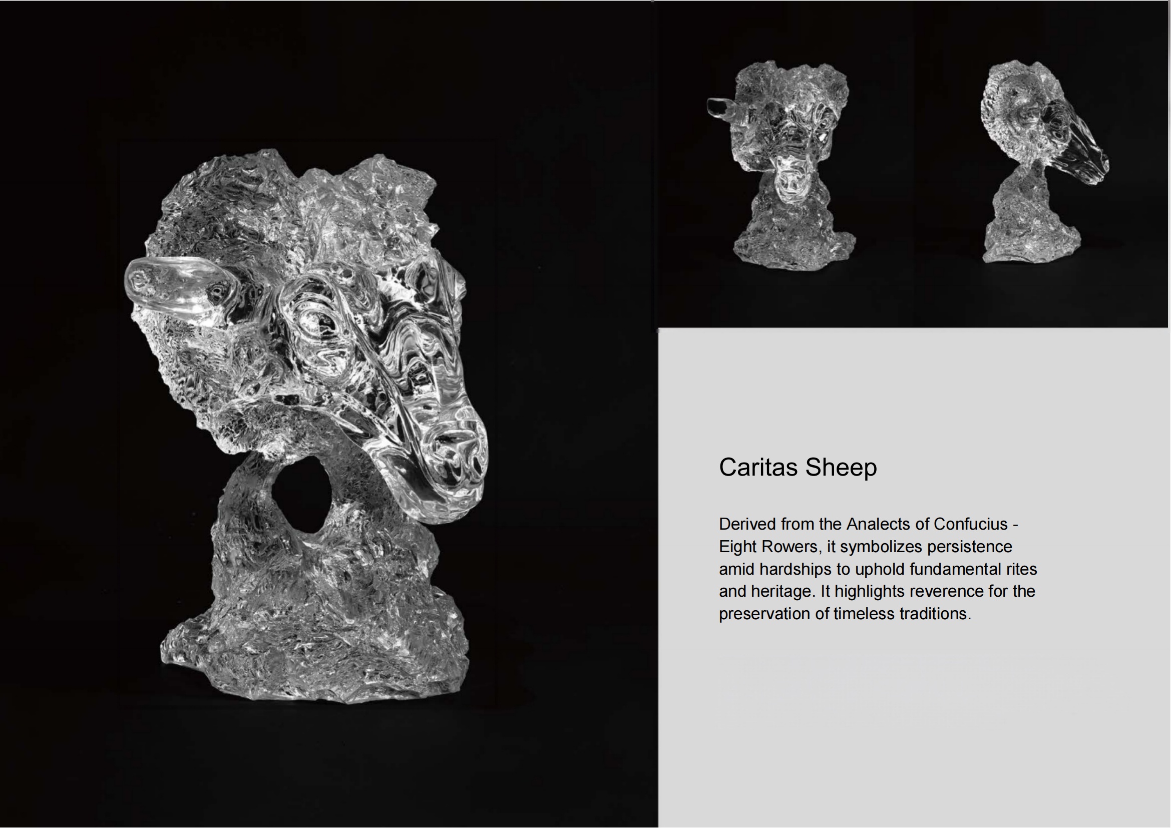 Caritas Sheep